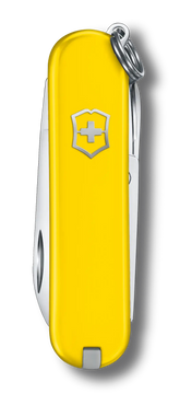 Classic SD Classic Colors