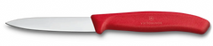 Swiss Classic Paring Knife, 3 in
