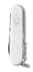Special Companion Damast Limited Edition 2025