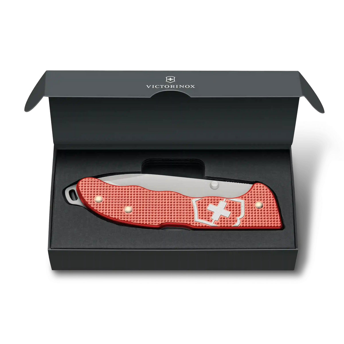 Evoke Alox Limited Edition 2025