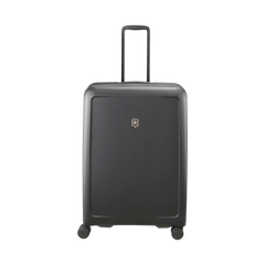 Connex Large Hardside Case