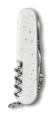 Special Companion Damast Limited Edition 2025