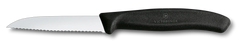 Swiss Classic Paring Knife, 3 in