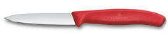 Swiss Classic Paring Knife, 3 in